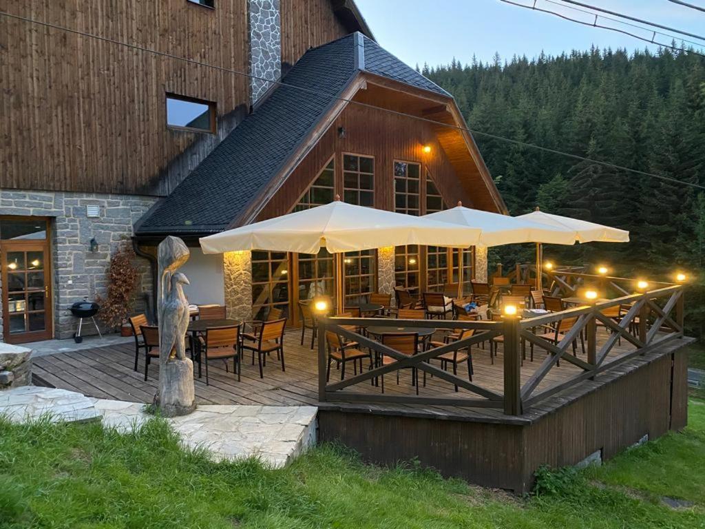 Horsky Hotel Vidly Karlova Studánka Екстериор снимка