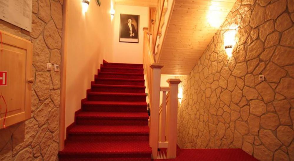 Horsky Hotel Vidly Karlova Studánka Екстериор снимка