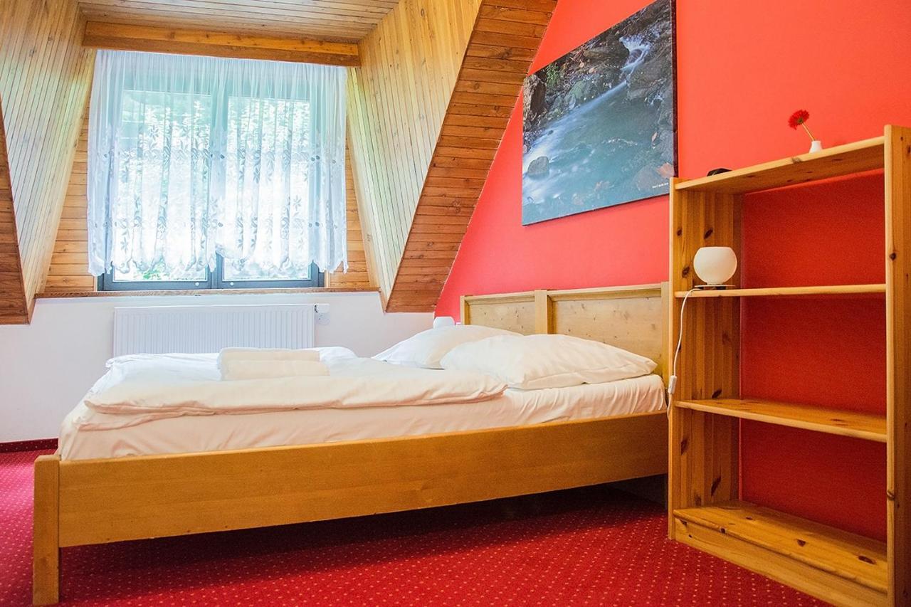 Horsky Hotel Vidly Karlova Studánka Екстериор снимка
