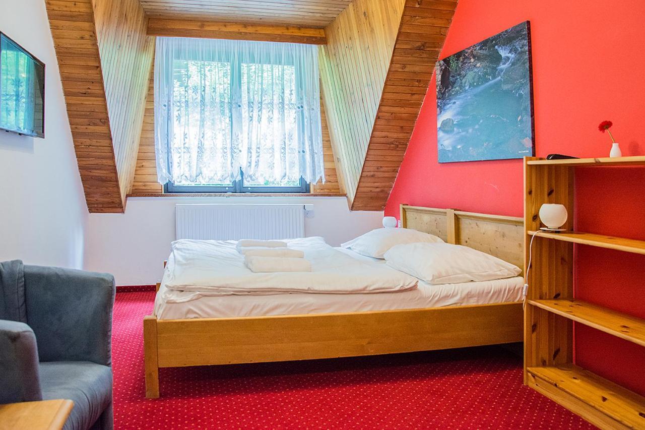 Horsky Hotel Vidly Karlova Studánka Екстериор снимка