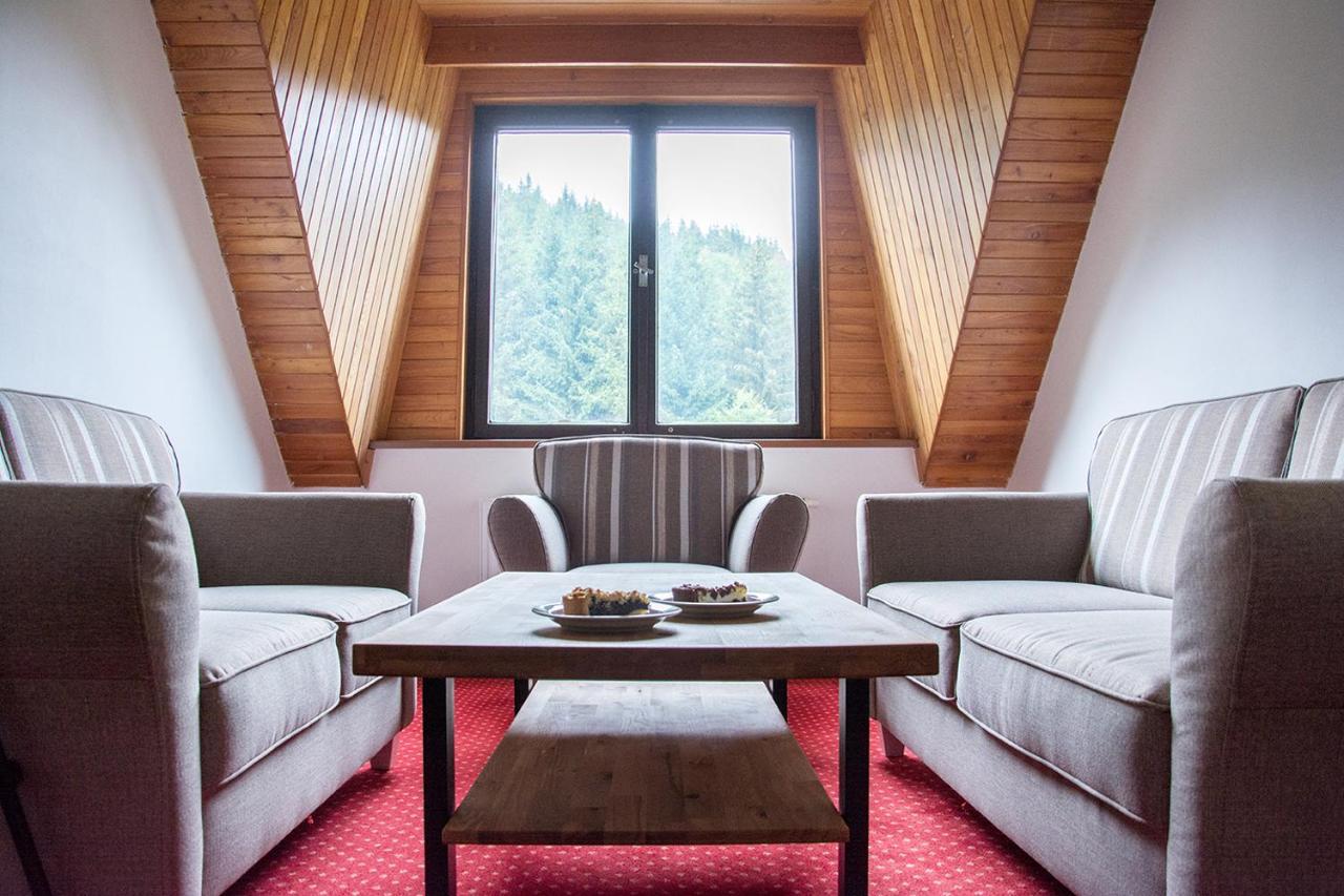 Horsky Hotel Vidly Karlova Studánka Екстериор снимка